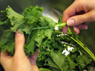 Wash the kale under running water and break off the stems. 