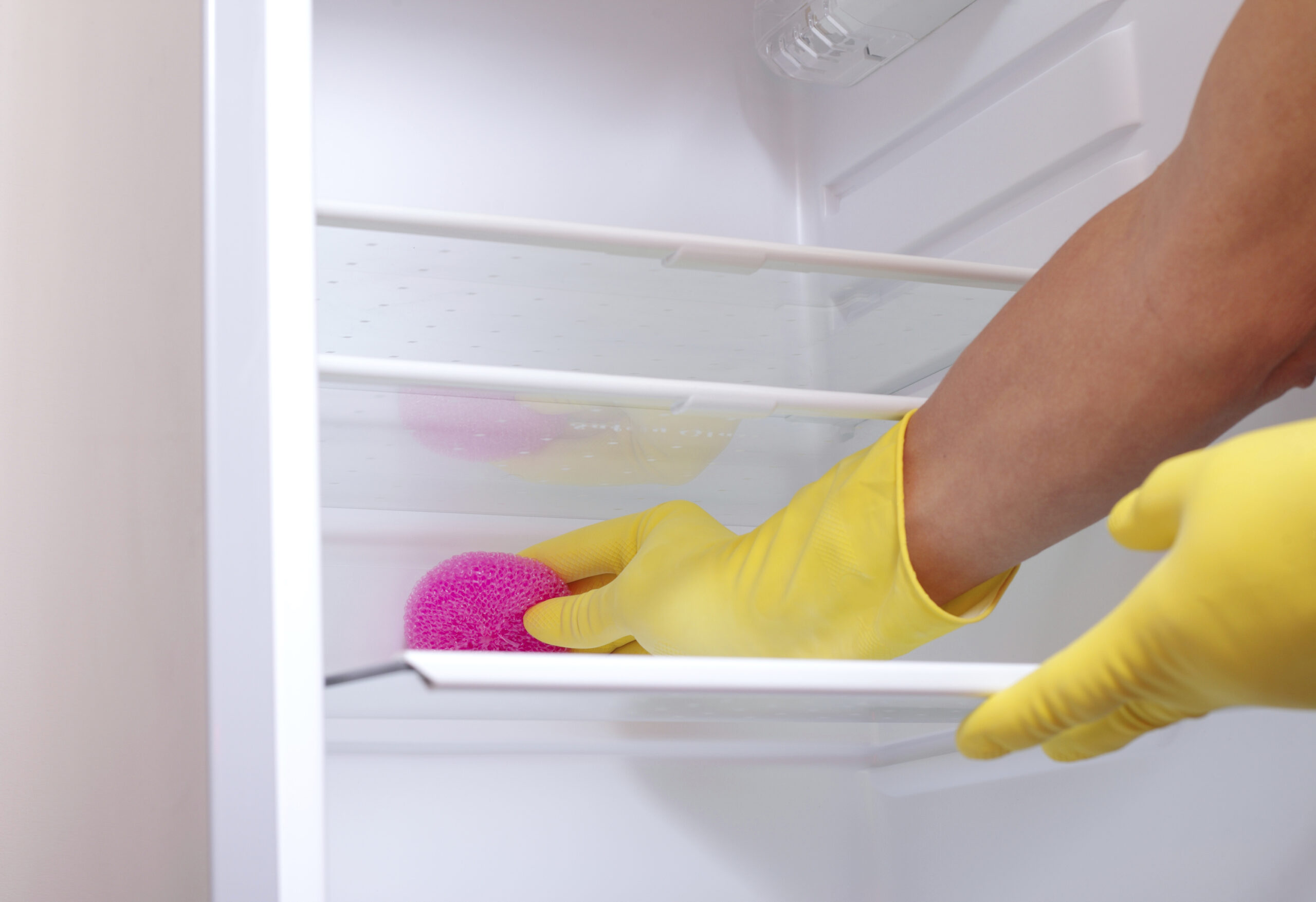 Spring Cleaning – Your Refrigerator