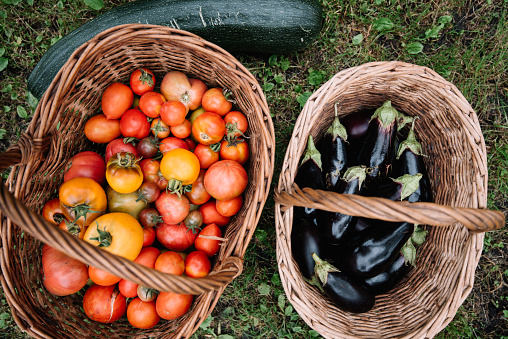 baskets of tomatoes and egglplants