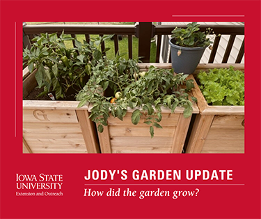 Jody’s Garden Update- How Did the Garden Grow?