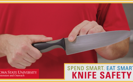 Knife Safety in the Kitchen